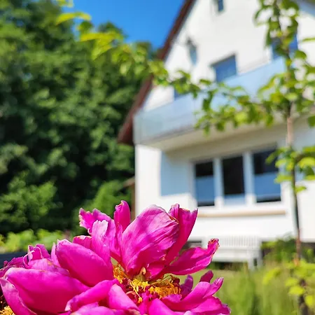 度假居 Muhrbach